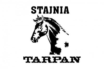 Projekt logo stajni koni